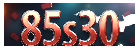 85s30 logo